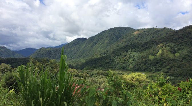 Nothing I hold on to