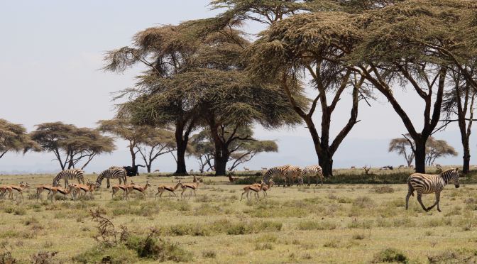 Crescent Island and Lake Naivasha