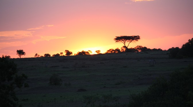 Maasai Mara Safari