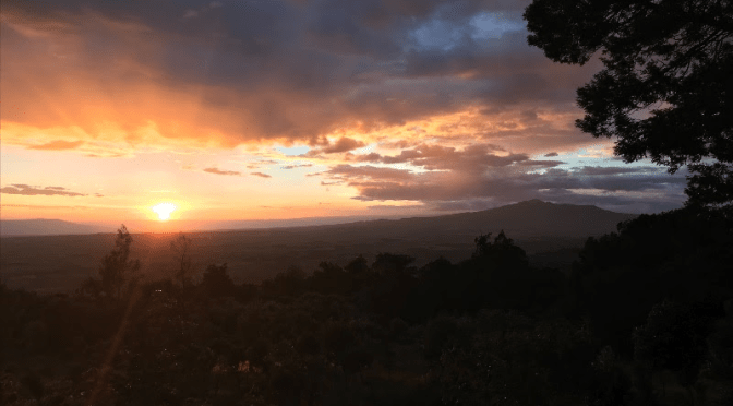 December 2018 Update